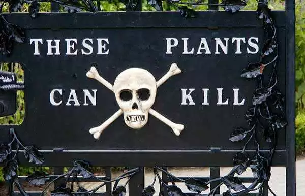 poison