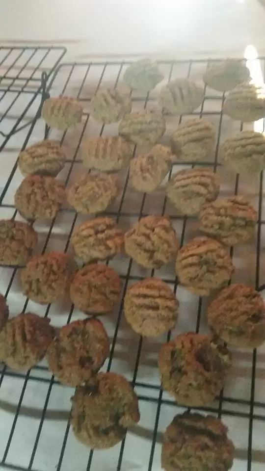 Sunbutter Cookies