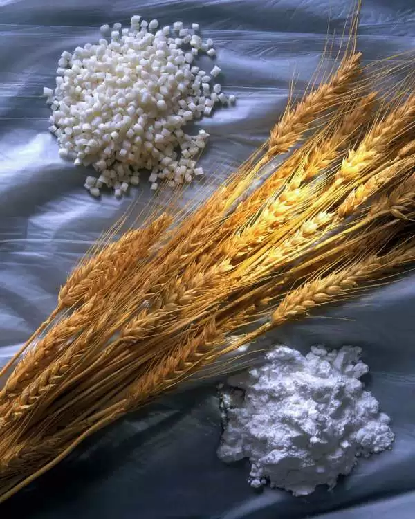 What People With Celiac Disease Should Know About Wheat Starch Celiac Com