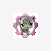 Juliebove