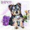 BSinCO