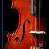 Violinist