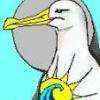 The_Albatross