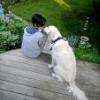 LolaB